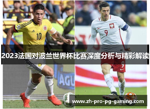 2023法国对波兰世界杯比赛深度分析与精彩解读