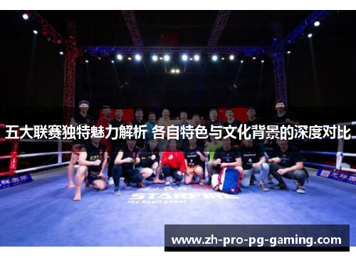 五大联赛独特魅力解析 各自特色与文化背景的深度对比