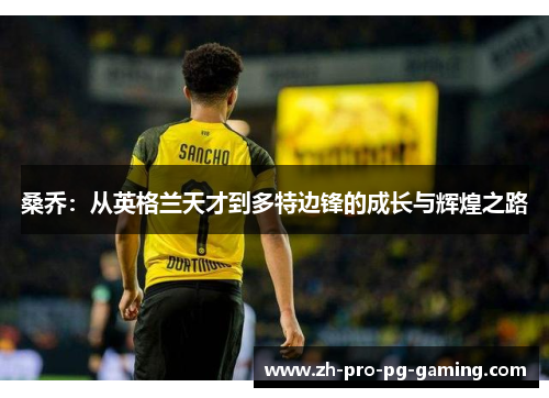 桑乔：从英格兰天才到多特边锋的成长与辉煌之路